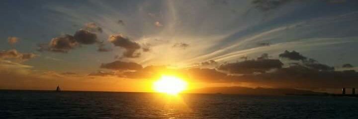 808Sunshine banner