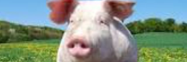 gingprincess18's profile banner image