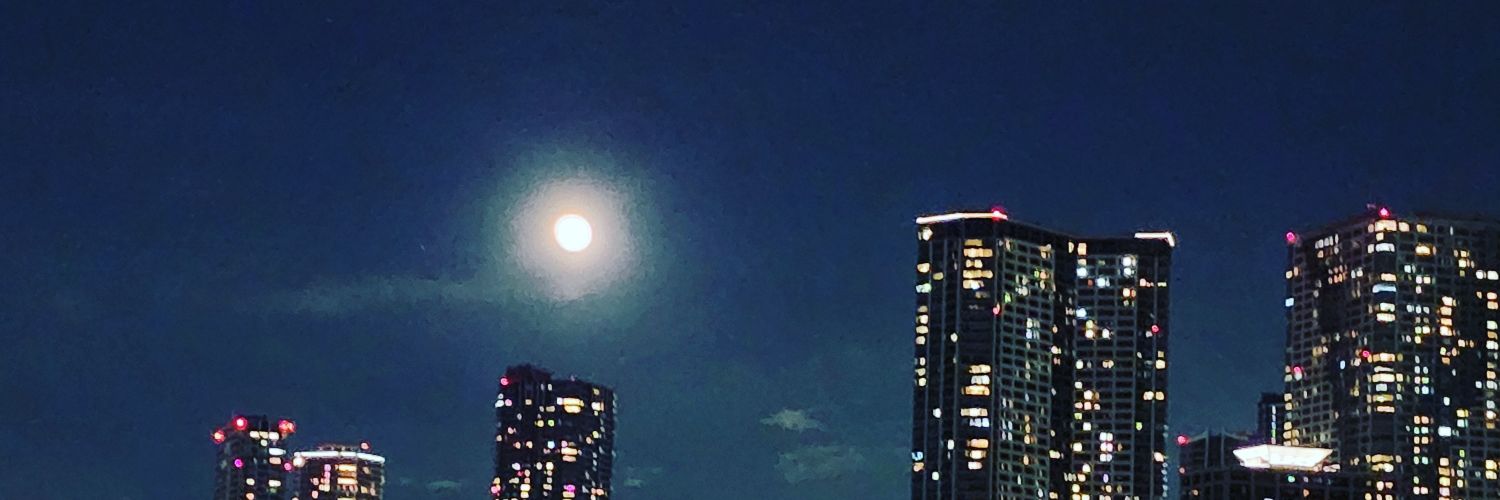 ガトー中佐 banner