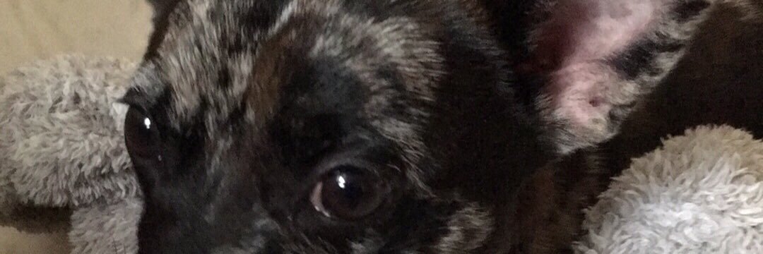 smurden11's profile banner image