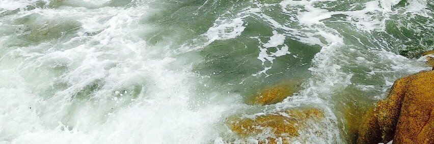 vikialbertini's profile banner image