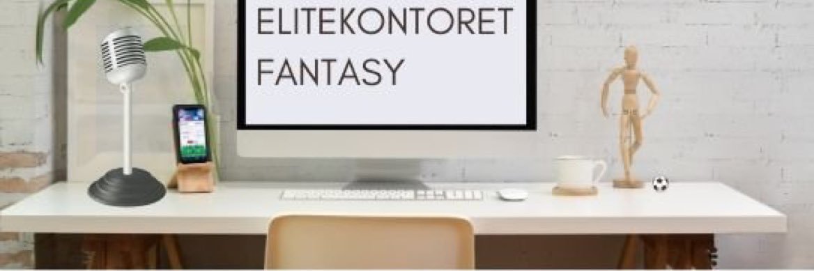 Emil M. Mejdell banner