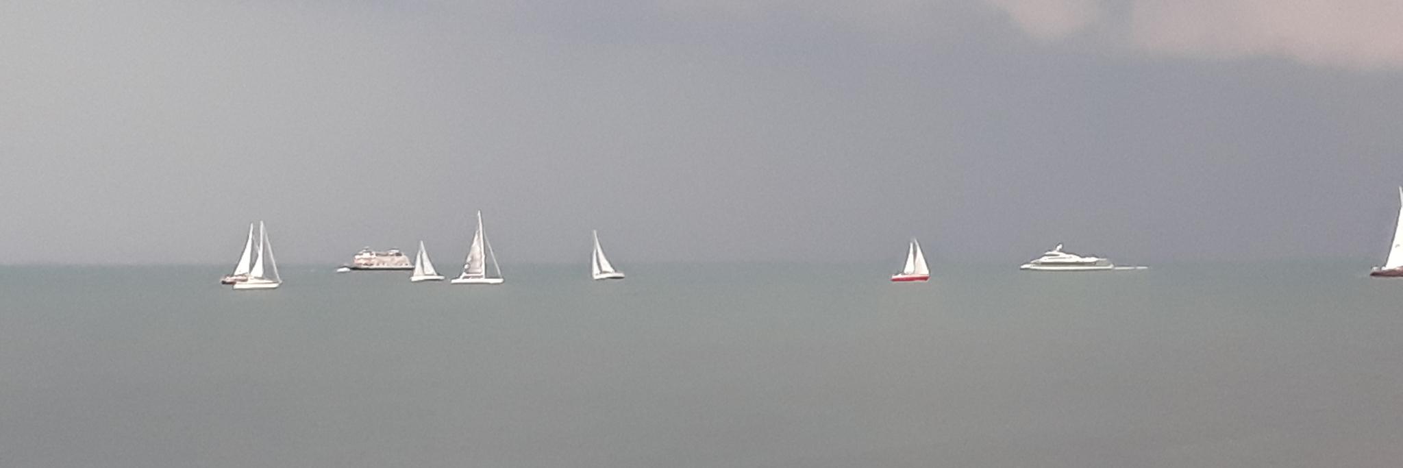 Johannes Schuster banner