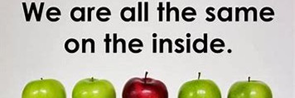 TimbertreeYr4 Profile Banner
