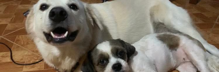 nahveautiful's profile banner image