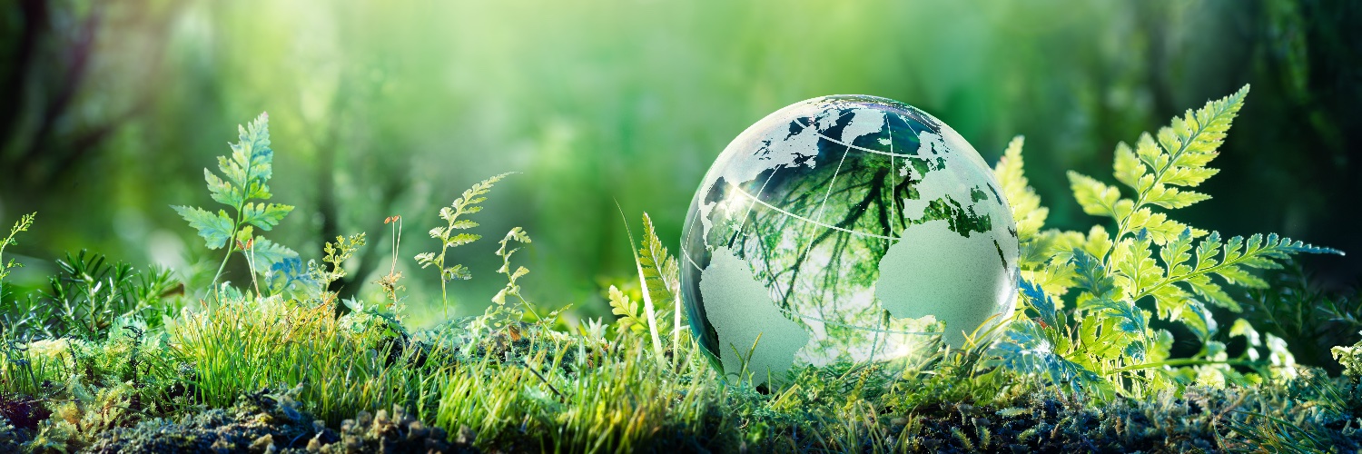 Michelle Curry banner