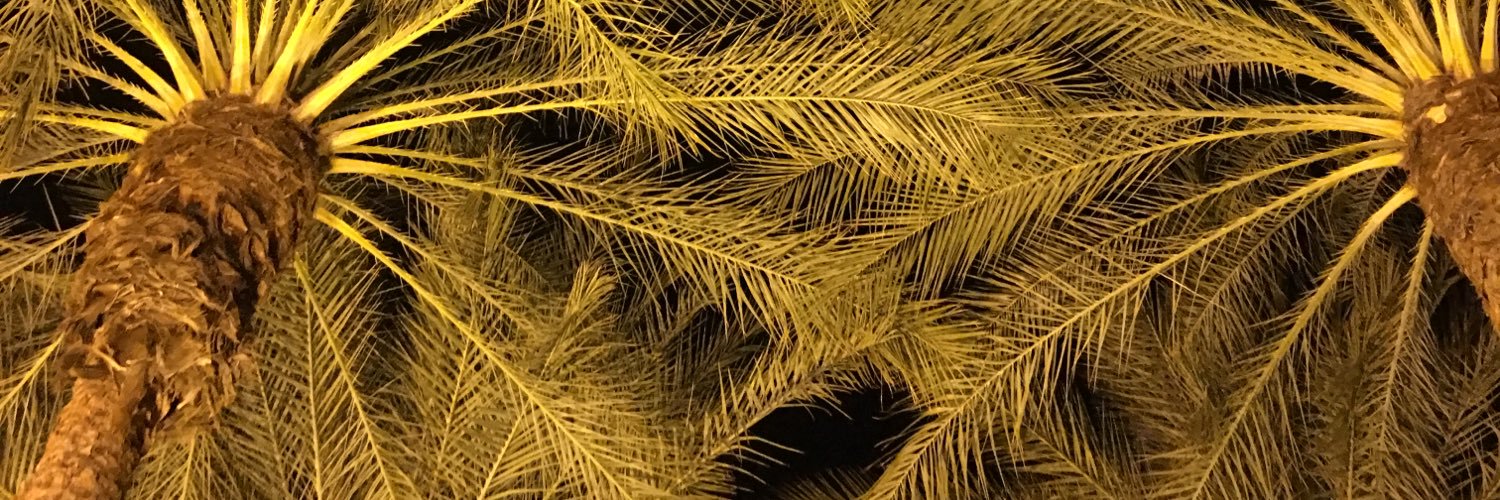 stefany_thomas's profile banner image