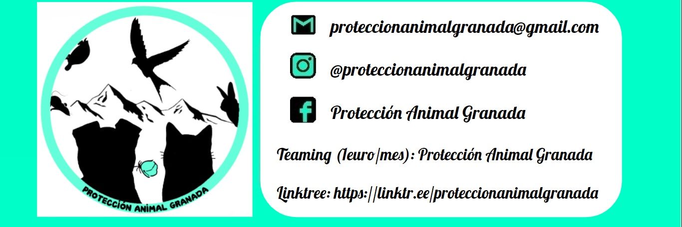 Protección Animal Granada banner