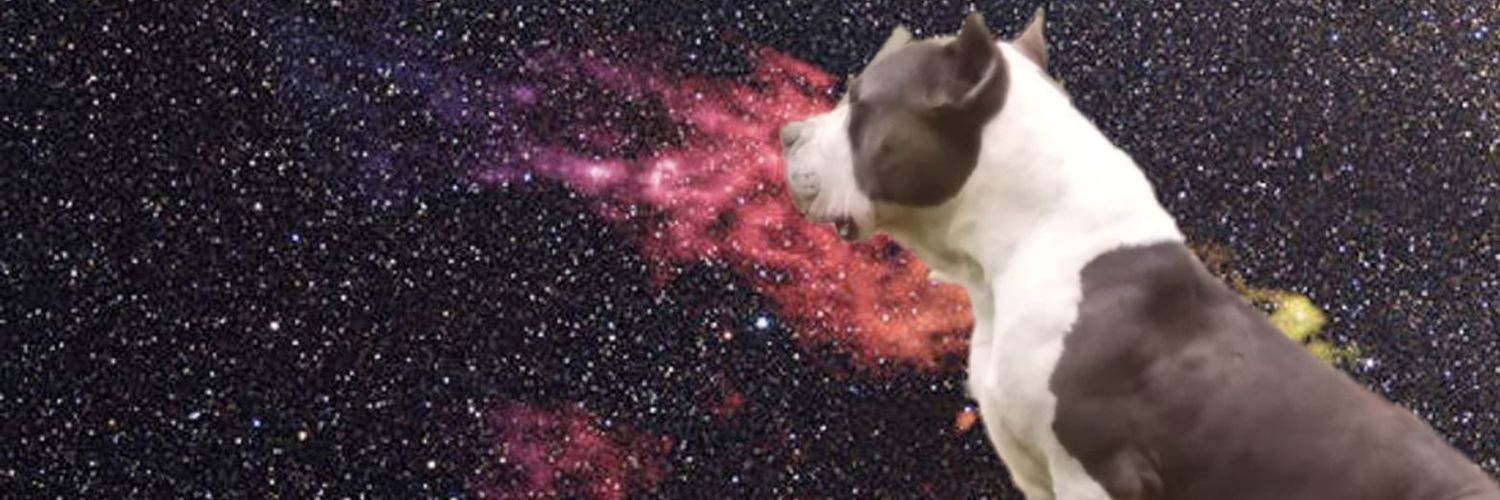 iguicholo's profile banner image