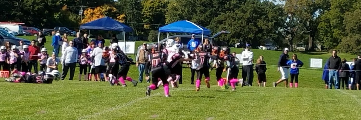 DYFL Jr. Barbs banner
