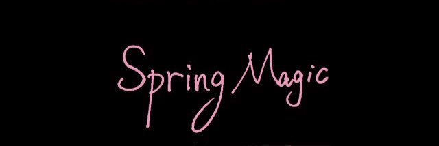 __SPRINGMAGIC's profile banner image