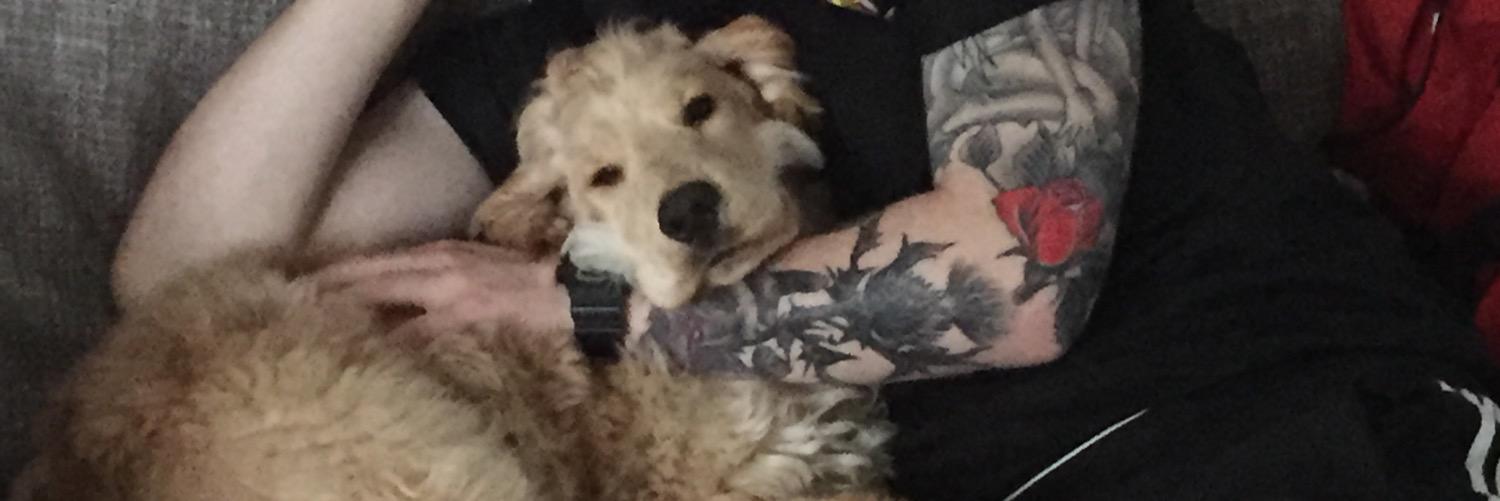 DUGUID33's profile banner image