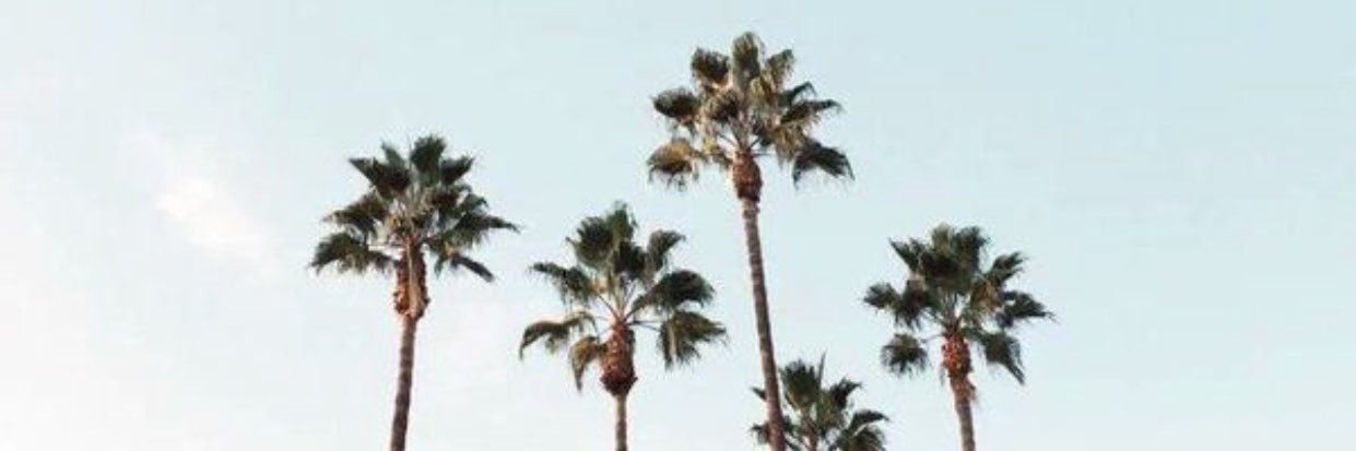 lidiaaarose's profile banner image