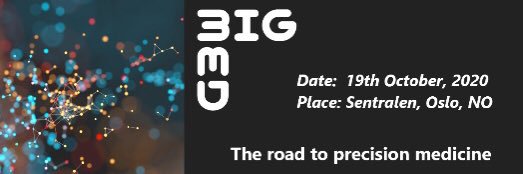 Bigmed Project banner