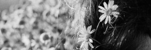 _partedemi's profile banner image