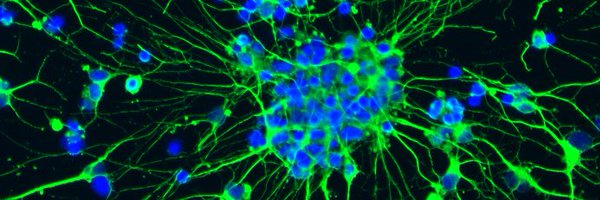 karchlab Profile Banner