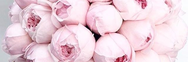 CaitFarnham's profile banner image