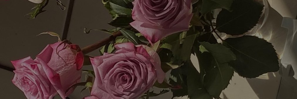 camilasrexach's profile banner image