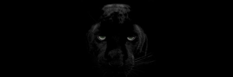 Jacob Hancock banner