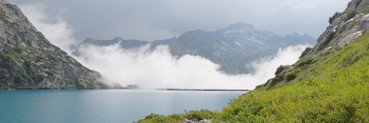 lait100canadien's profile banner image