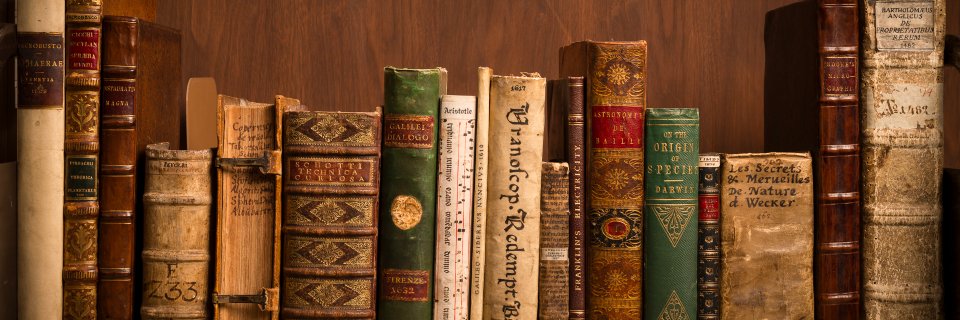 BProbelov's profile banner image