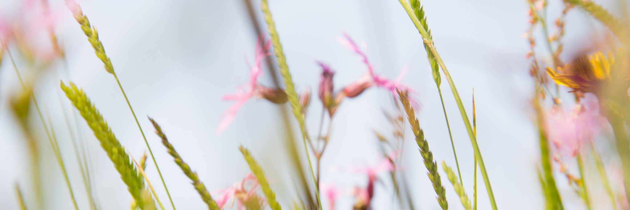 Kate & Tamara banner