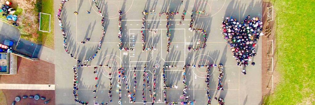 Primary House Comps banner