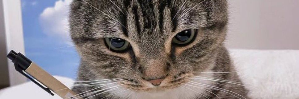 Williamsmp_'s profile banner image