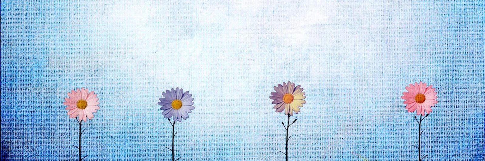 HalimeAkcay's profile banner image