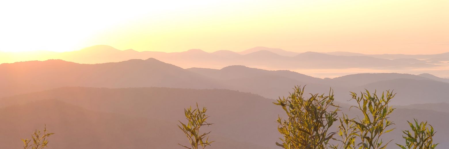 33cts's profile banner image