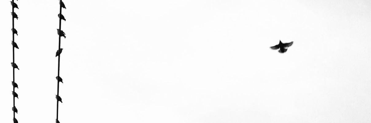 Alire7aa's profile banner image