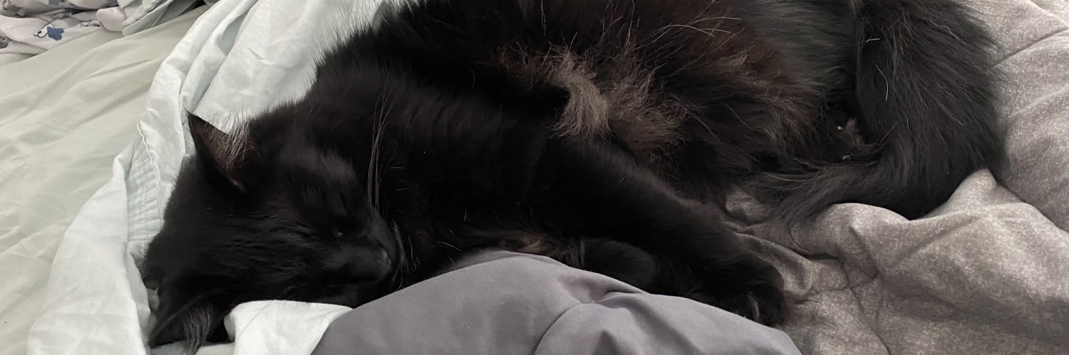 Kelley Anne Cohen banner