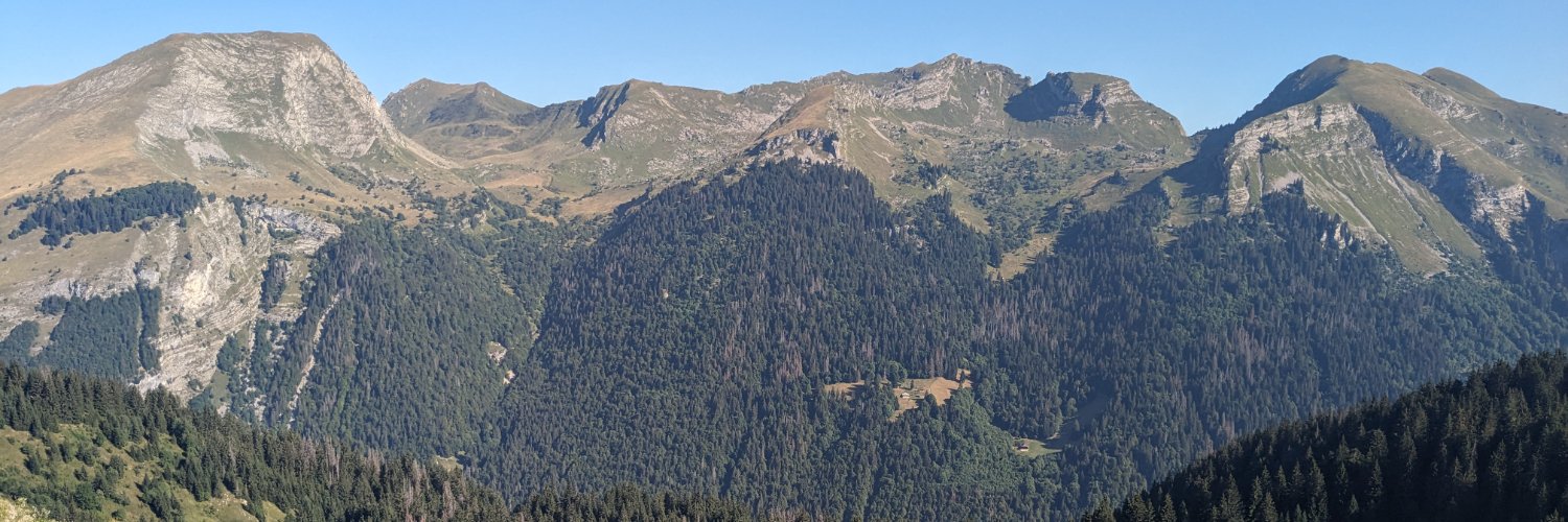 Dr Rachel Manning banner