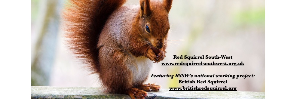 Red Squirrel South-West banner