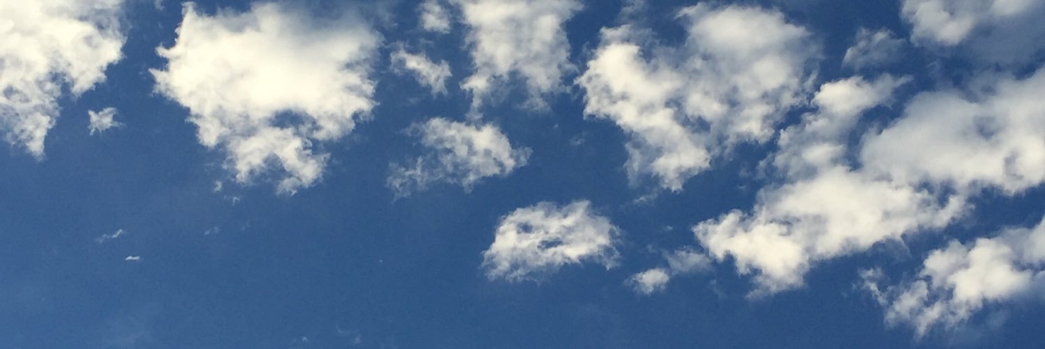 mizures's profile banner image