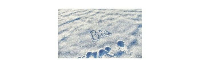 Biia Rodrigues banner