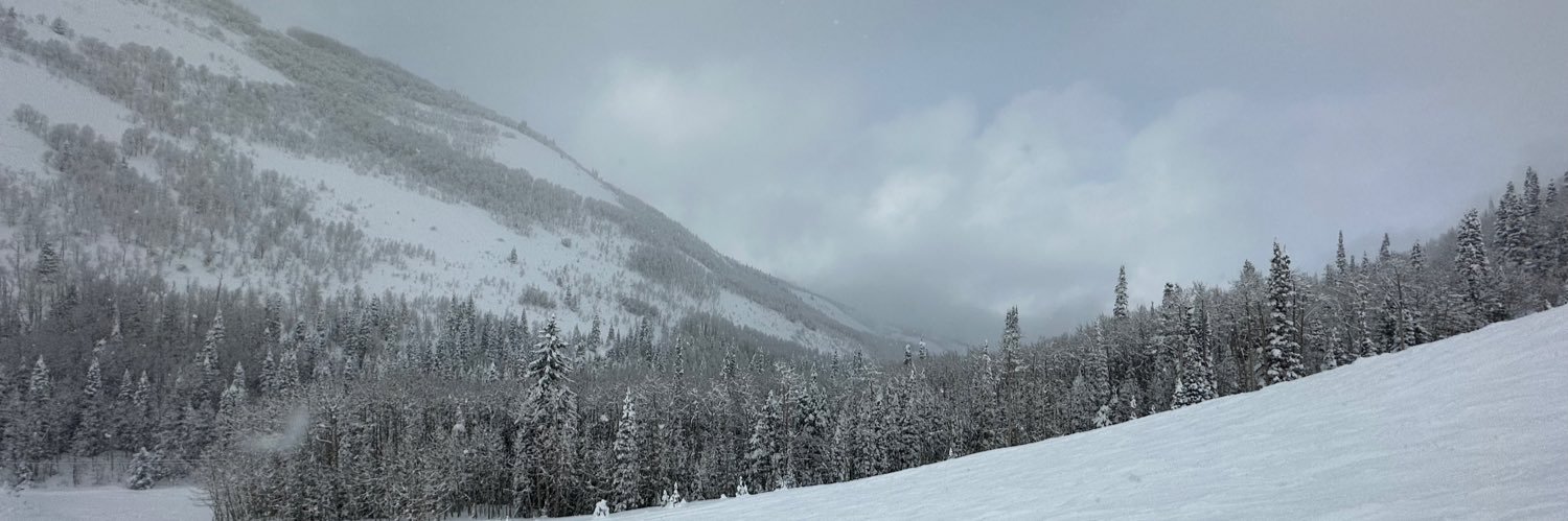 Houston Molinaro banner