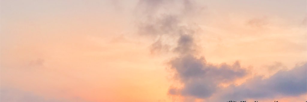 MiaOrtet's profile banner image