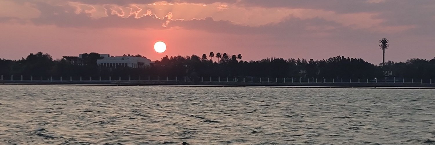 rayashehada's profile banner image