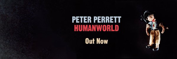 Peter Perrett Profile Banner