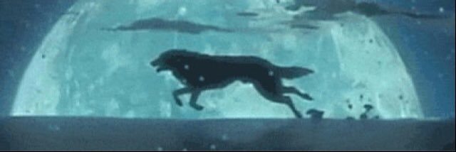 Wolves for Christian Kane banner