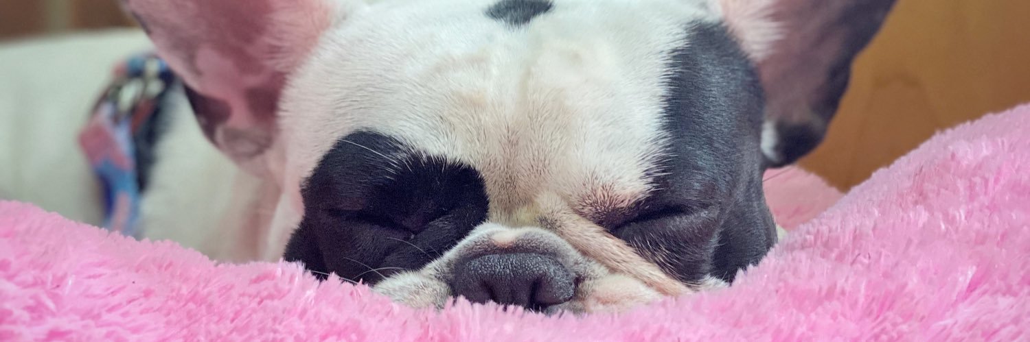 Pauliflo's profile banner image