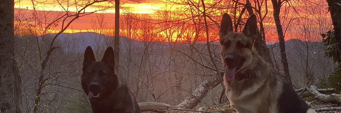 Chandler_Staton's profile banner image