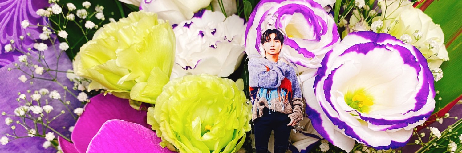 adeliae_SH's profile banner image
