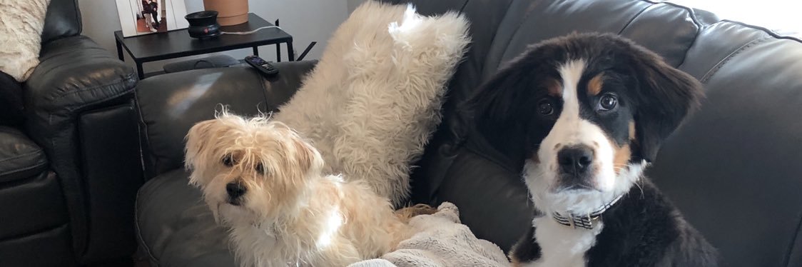 haleyplummer_'s profile banner image