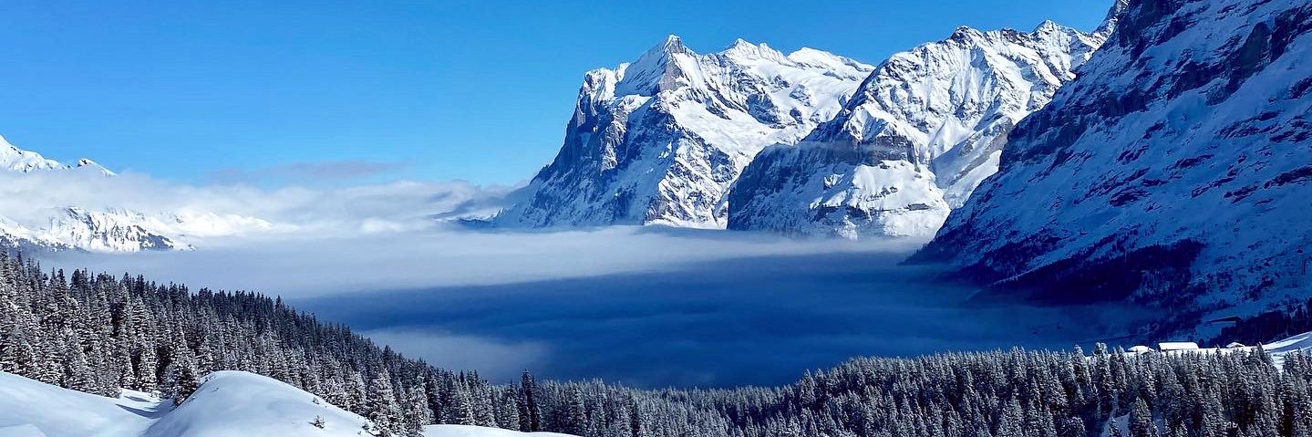 Davidović Maša banner