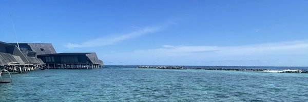 APGOVSweeney Profile Banner