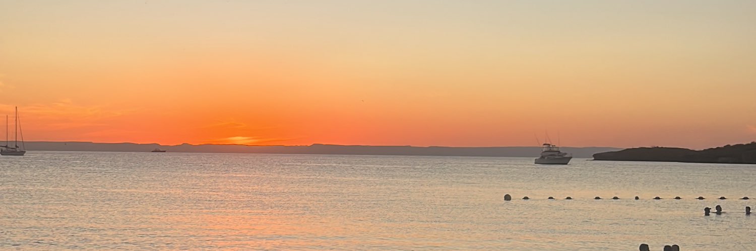 RaySnchez12's profile banner image