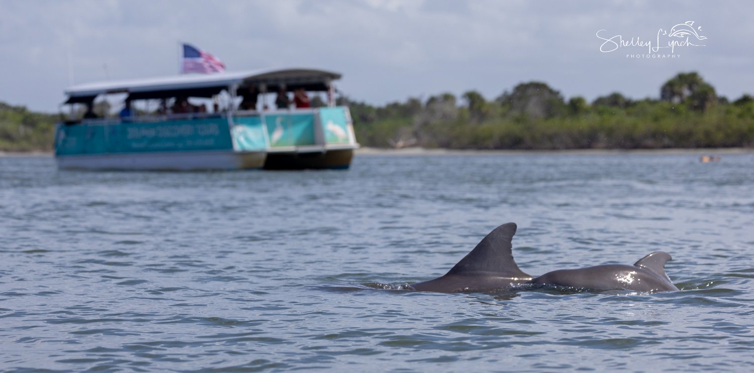 MarineDiscoveryCtr banner