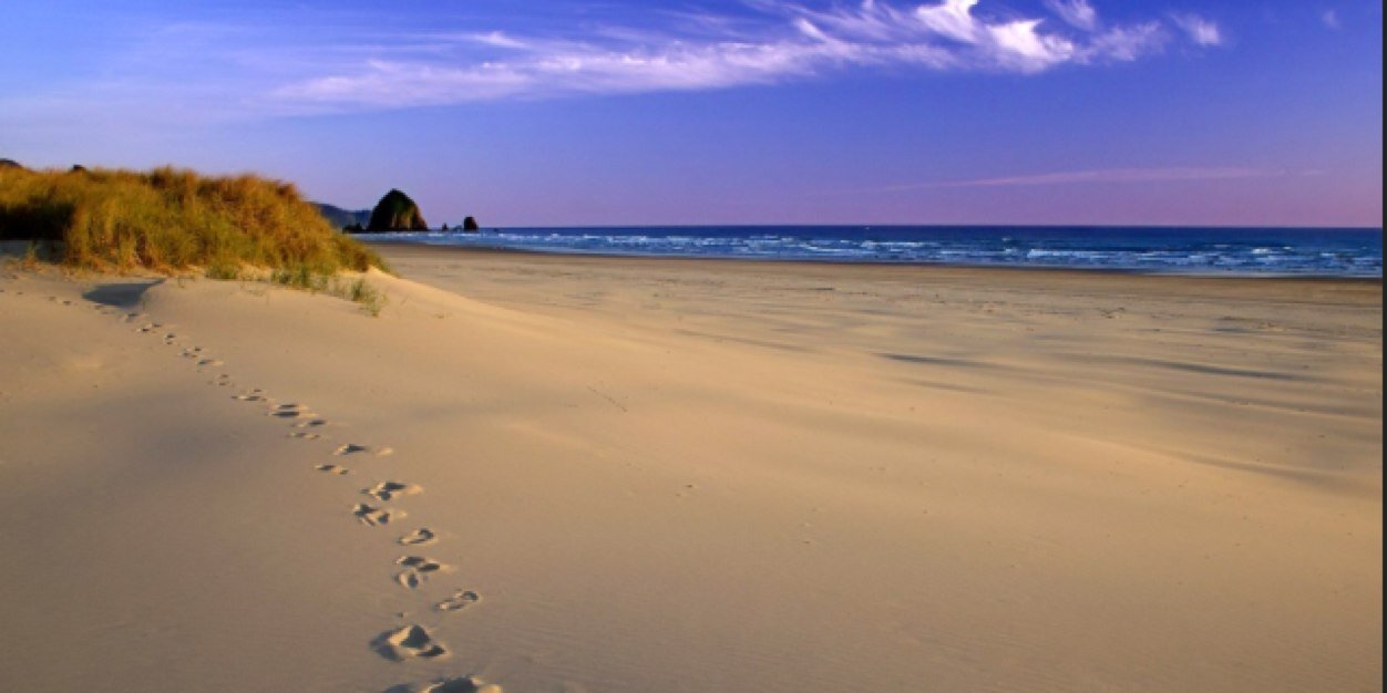 travieporter5's profile banner image